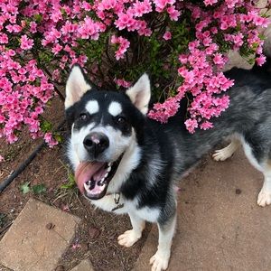 Meet your Posher, Hayley